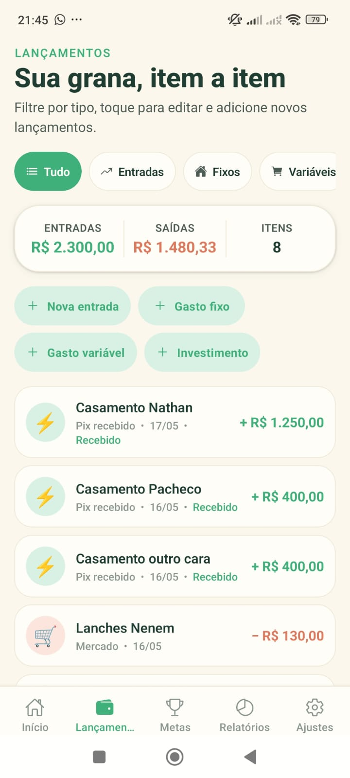 Tela de lançamentos do GranaPet